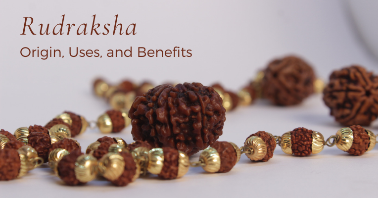 Rudraksha – Origin, Uses, and Benefits