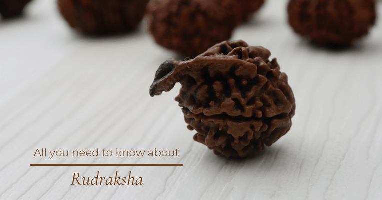 All you need to know about Rudraksha