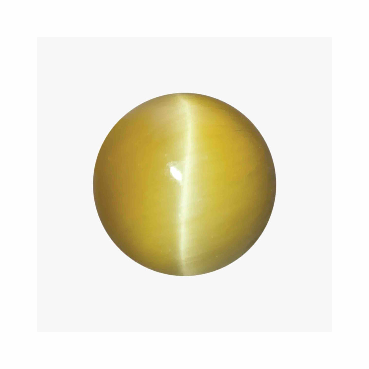 An Overview Of The Cat s Eye Gemstone Gemkart an-overview-of-the-cat-s-eye-gemstone-gemkart