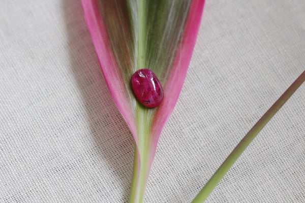 Natural ruby on a pink leaf